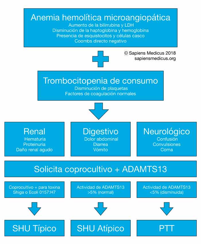 Microangiopatía Trombótica: Síndrome urémico hemolítico y púrpura trombótica trombocitopénica.