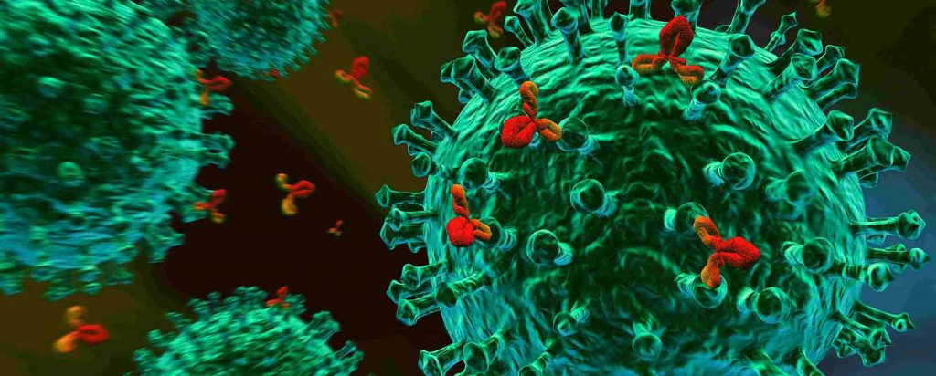 Infecciones en inmunodeficiencias