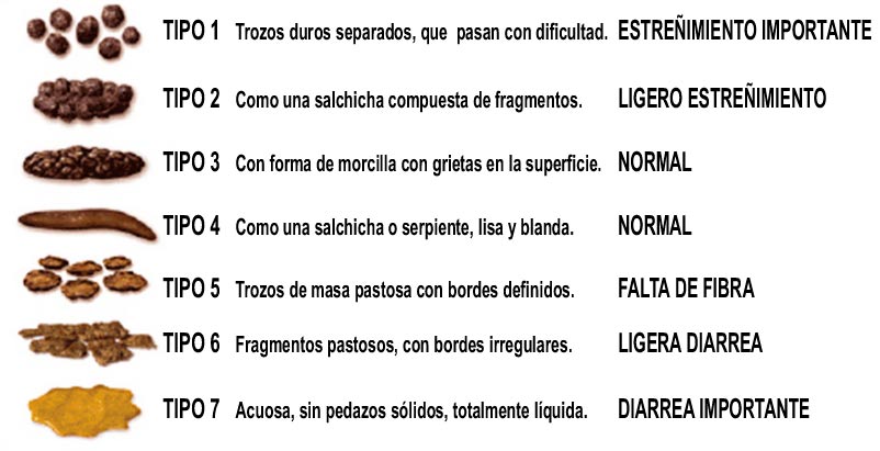 Escala de Bristol